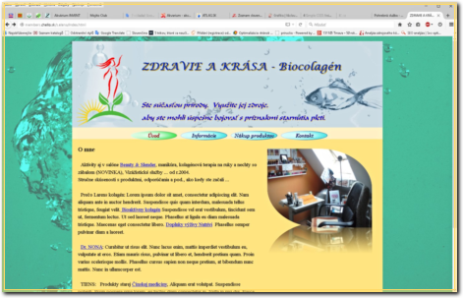 Návrh e-shopu s prírodnou kozmetikou
