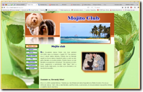 WWW Mojito Club